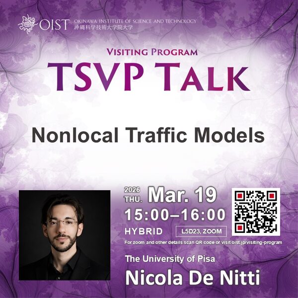 TSVP Talk: "Nonlocal Traffic Models" by Nicola De Nitti